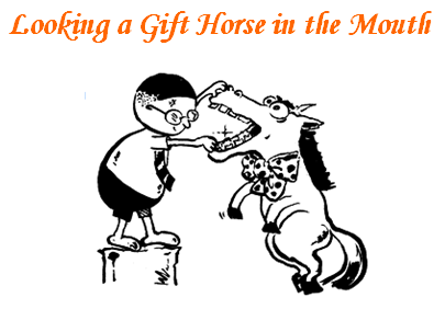 Gift Horse