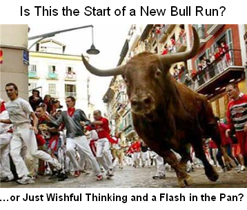 bull run